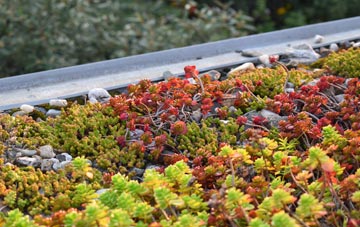 the cost of Great Saxham green roof installation
