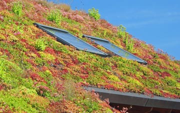 Great Saxham living roof systems