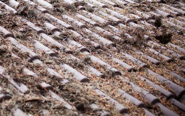 Great Saxham roof cleaning companies